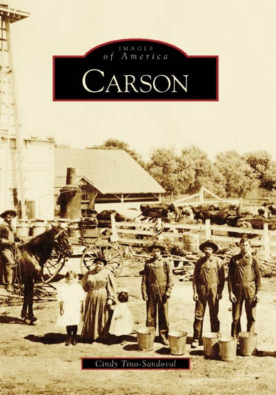Carson's:, Illinois: Gayle Soucek: 9781609497347: Landmarks