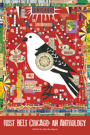 Rust Belt Chicago: Martha Bayne: 9780997774375: Belt City