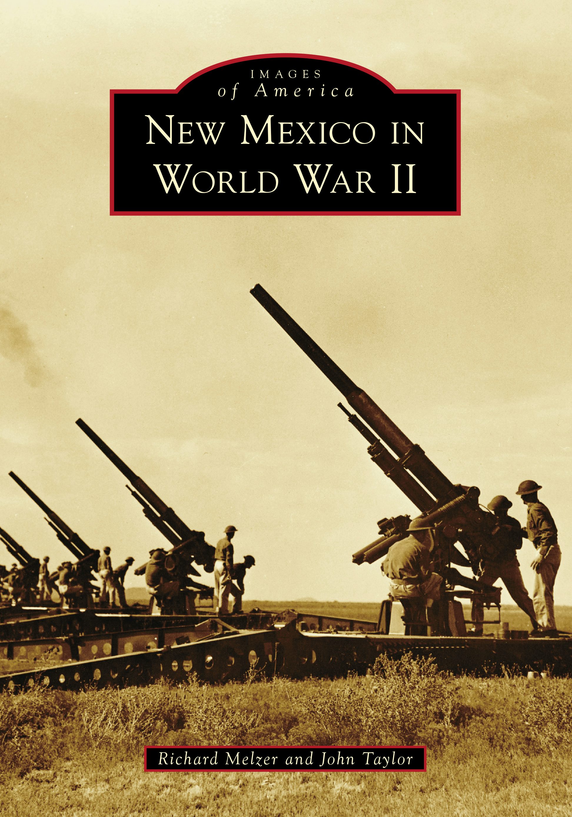 New York's World War II Aircraft, New York: Cory P. Graff