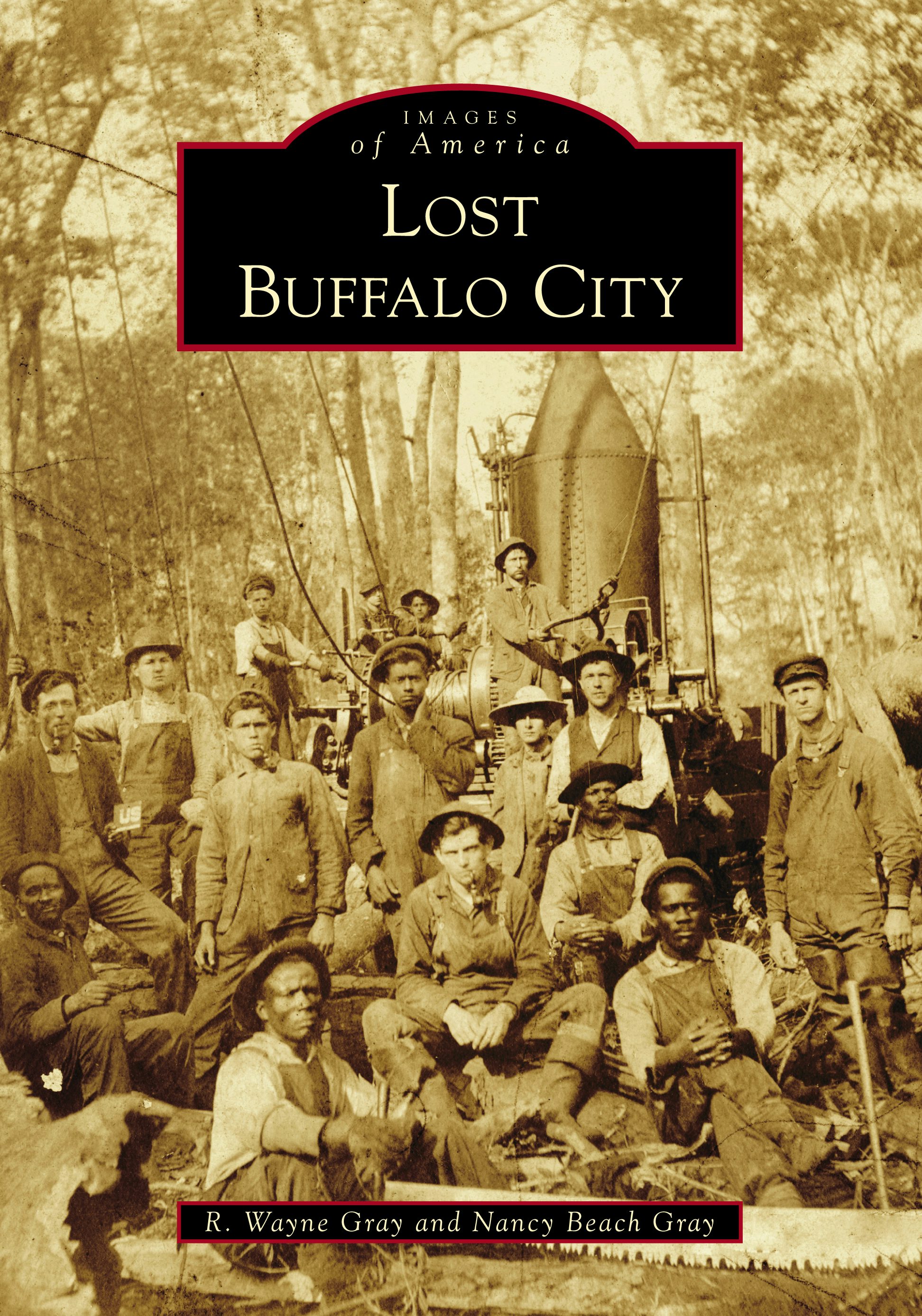 Lost Buffalo City, North Carolina: R. Wayne Gray: 9781467129008