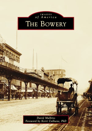 The Bowery: David Mulkins: 9781467162067: Paperback – Arcadia