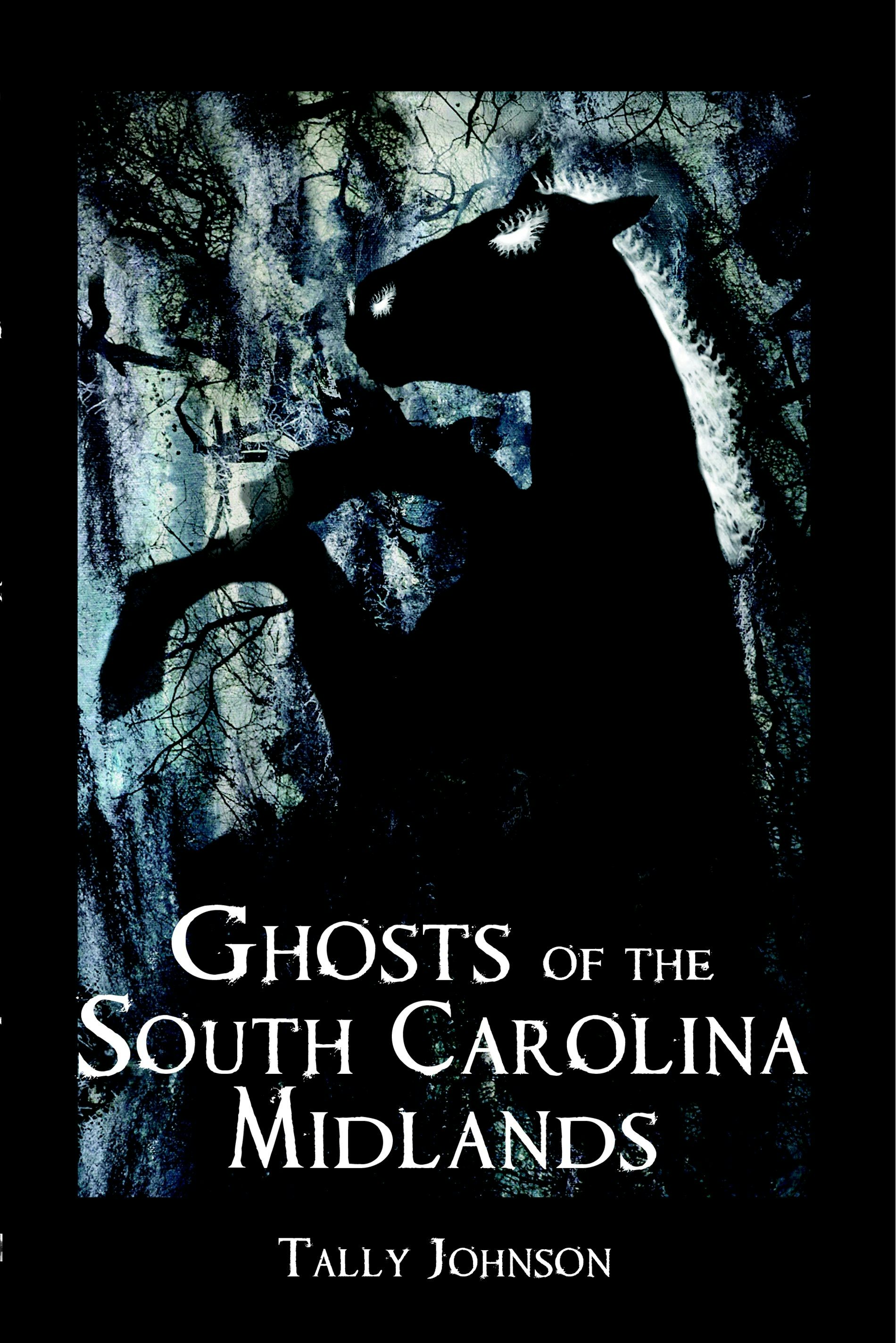 Ghosts of the South Carolina Midlands, South Carolina: Tally